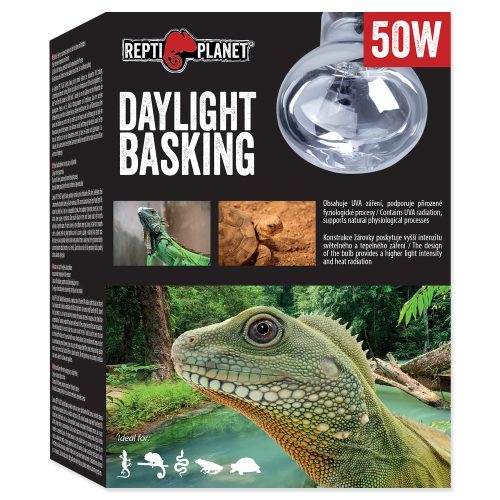 RP izzó Daylight Basking Spot 50W