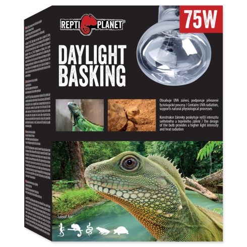 RP izzó Daylight Basking Spot 75W