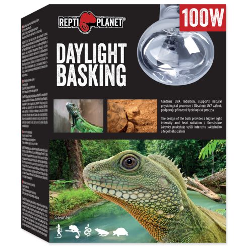 RP izzó Daylight Basking Spot 100W