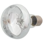 RP izzó Daylight Basking Spot 100W