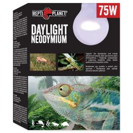 RP izzó Nappali Neodímium 75W