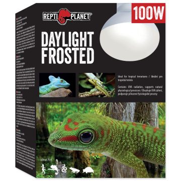RP izzó Daylight Frosted 100W