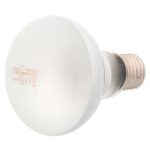 RP крушка Daylight Frosted 100W