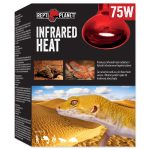 RP izzó Infravörös HEAT 75W