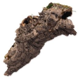 Dekoráció Parafa kéreg M 15-30cm