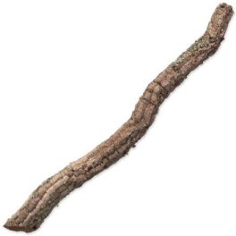 Dekoráció Parafa ág XL 90cm-120cm