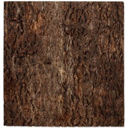 RP natúr parafa háttér 43,5x41x2 cm