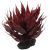 RP Zamatos növény Agave piros 18cm