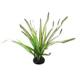 RP Spartina fű növény 30cm