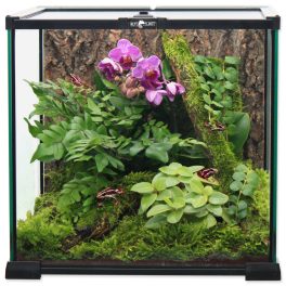 RP Glass terrárium 20x20x20cm
