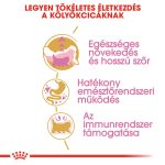 Royal Canin Persian Kitten 2Kg