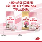 Royal Canin Mother & Babycat 2 кг
