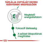 Royal Canin Mini 4-10 кг за възрастни 8 кг