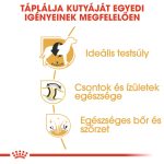 Royal Canin Labrador Adult 12Kg