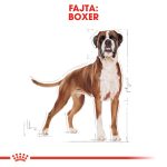 Royal Canin Boxer Adult 12Kg