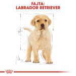 Royal Canin Labrador Puppy 3Kg