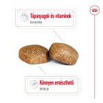 Royal Canin Giant > 45 Kg Adult 15Kg