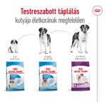 Royal Canin Giant > 45 Kg Adult 15Kg