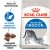 Royal Canin Indoor 27 4 кг