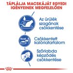 Royal Canin Indoor 27 4 кг