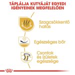 Royal Canin Bulldog Adult 12Kg