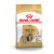 Royal Canin Shih Tzu Adult 500G