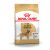 Royal Canin Golden Retriever Adult 12Kg
