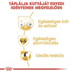 Royal Canin Golden Retriever Adult 12Kg