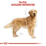 Royal Canin Golden Retriever Adult 12Kg