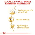 Royal Canin Cocker Adult 3 кг