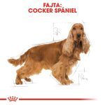 Royal Canin Cocker Adult 3 кг