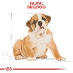 Royal Canin Bulldog Puppy 3Kg