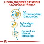 Royal Canin Bulldog Puppy 3Kg