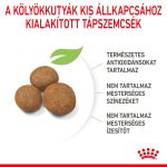 Royal Canin Maxi 26-45 кг. за кученца 15 кг.