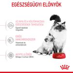 Royal Canin Mother & Babycat 400G