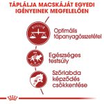 Royal Canin Fit 32 400G