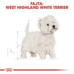 Royal Canin West Highlander White Terrier Adult 3Kg