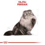 Royal Canin Persian Adult 10Kg
