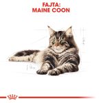 Royal Canin Maine Coon Adult 2Kg