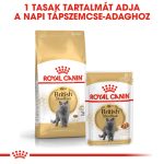Royal Canin British Shorthair Adult 400G