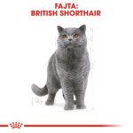 Royal Canin British Shorthair Adult 400G