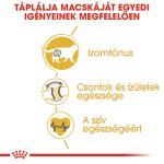 Royal Canin British Shorthair Adult 400G