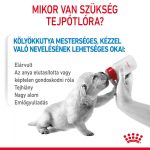 Royal Canin Babydog 1st Age Milk 2 кг
