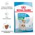 Royal Canin Mini Starter Mother & Babydog 4-10Kg 1Kg