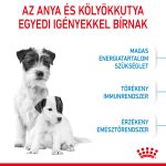 Royal Canin Mini Starter Mother & Babydog 4-10Kg 1Kg