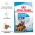 Royal Canin Maxi Starter Mother & Babydog 26-45 кг 15 кг