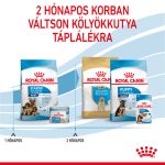 Royal Canin Maxi Starter Mother & Babydog 26-45 кг 15 кг