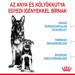 Royal Canin Maxi Starter Mother & Babydog 26-45 кг 15 кг