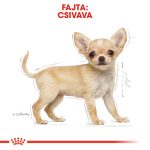 Royal Canin Чихуахуа Кученце 500 г