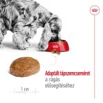 Royal Canin Medium 11-25 кг за възрастни кучета 7+ 15 кг